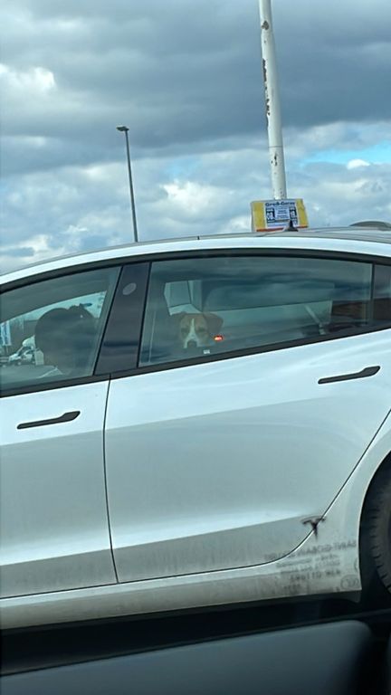 Image of Tesla Model 3