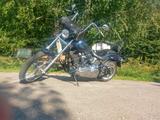 Harley-Davidson Softail FXSTC Custom  - HARLEY-DAVIDSON FXST