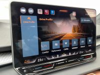 CUPRA Terramar 2.0 TSI DSG 4D VZ NAV HUD PANO AHK 5J G bei Autohaus Landmann & Maier OHG