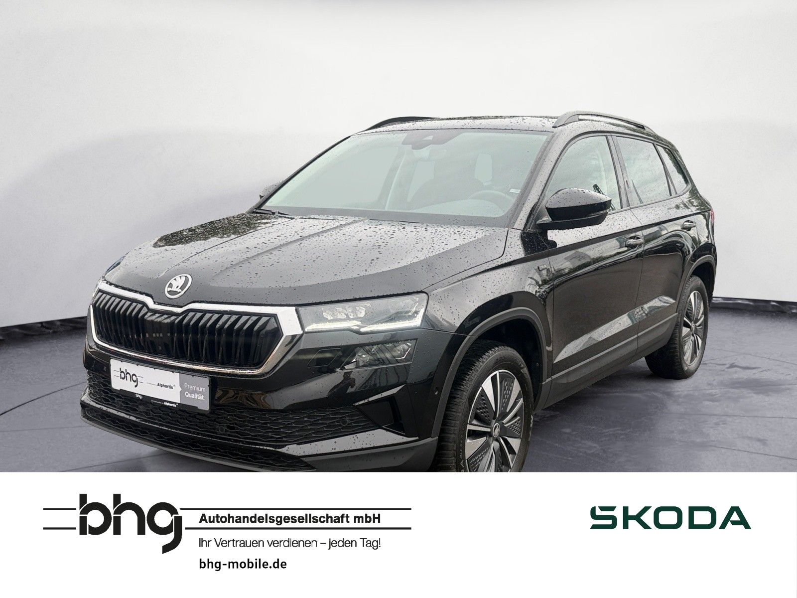 Skoda Karoq 2.0 TDI DSG Selection Tour Standheizung Ar
