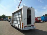 MAN TGL 8.180 + PALFINGER + GLASS TRUCK + MANUAL - MAN Gl