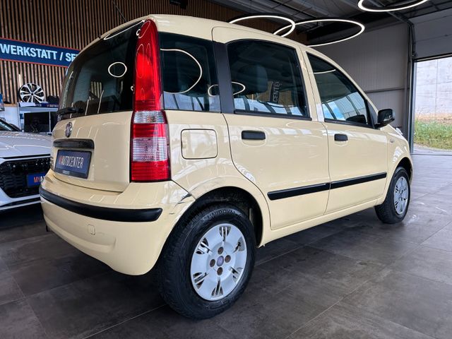 Fiat Panda 1.2 8V *Dynamic