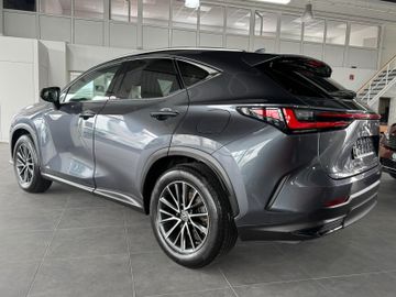 Lexus NX 350h - 5