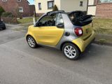 Smart ForTwo Cabrio 90 PS  Twinamic Kamera, Ambient - mit Benzin-Antrieb: Gold, Cabrio