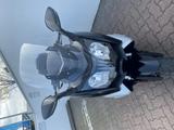 BMW C 650 Modell GT, RDC, Sitzbank niedrig - Offers matching your search criteria