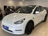Tesla Model Y Long Range Dual AWD Leder Pano Autopilot - Tesla Model Y in Bonn