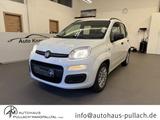 Fiat Panda My Panda 1,2 8V Klima/Dachrel./eFH. - Fiat Panda: 1.1