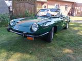 Fiat Andere 850 Sport Spider Cabrio + viele Ersatzt. - Fiat aus 1972: Cabrio