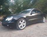 Mercedes-Benz CLK 320, C209, LPG Vialle: KEYLESS,ACC,XEN,BOSE - Mercedes-Benz CLK-Klasse mit LPG-Antrieb