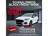 Ford Fiesta ST-Line 1.0 MHEV Sportpaket Navi Soundsys - Ford Fiesta: Automatik