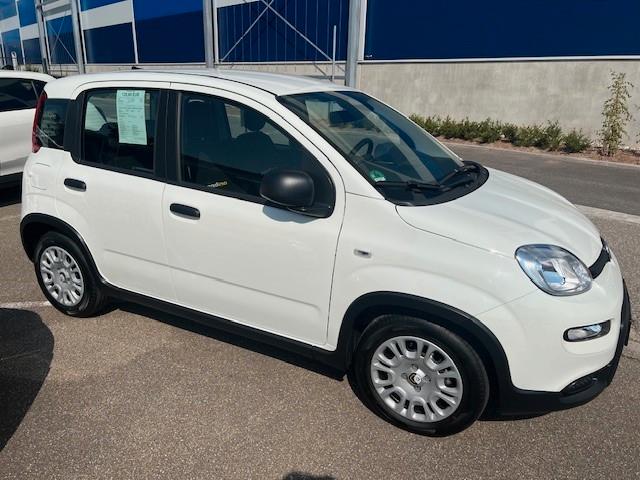 Fiat Panda Pandina