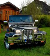 Jeep Wrangler 2.5 - - Jeep aus 1991