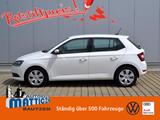 Skoda Fabia 1.0 TSI 95 PS Ambition NAVI/SOUND-PAKET/GR - Skoda Fabia: 1.9
