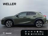 Lexus UX 250h Style Edition *Bi-LED*AHK*CAM*ACC*SHZ*PD - Lexus Gebrauchtwagen
