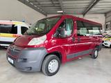 Citroën Jumper Kombi 30 L2H1 Live HDi 110*KLIMA*AHK*TEMP - Citroën Jumper: L3h3