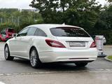 Mercedes-Benz CLS 250 Shooting Brake CLS 250 BlueTec / d (218. - Mercedes-Benz CLS C218