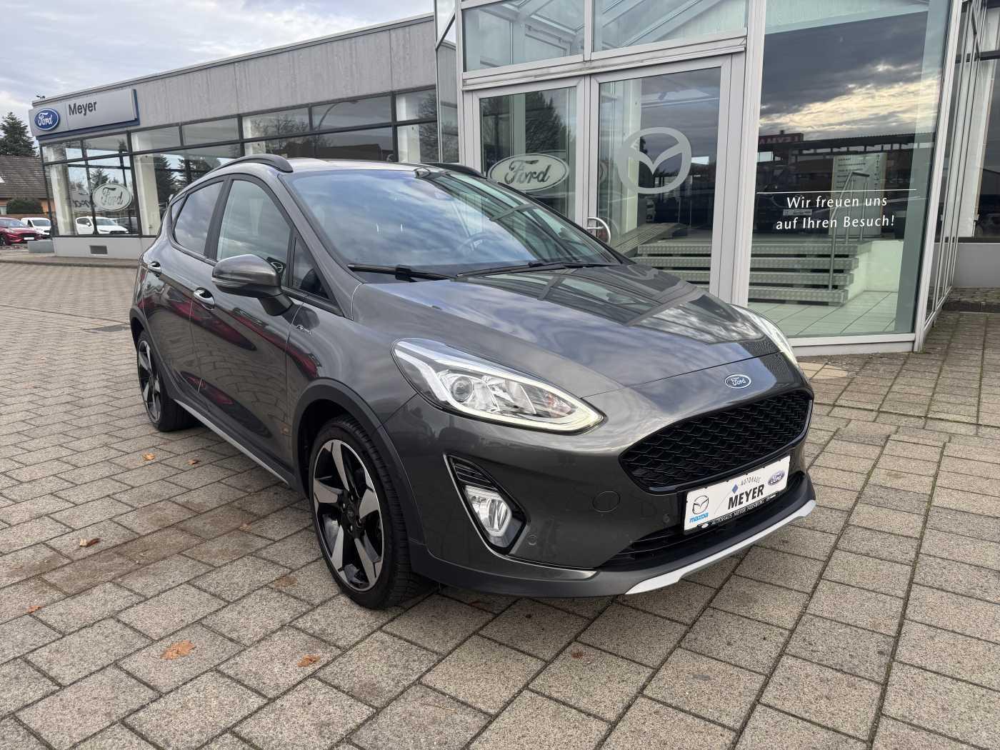 Ford Fiesta 1.0 EcoBoost Active Navi/Winterpaket