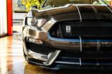 Ford Mustang Shebly GT350 *Track Pack *Recaro - Ford Mustang: Gt350