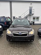 Subaru Forester Active - Subaru Forester aus 2013