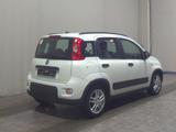 Fiat Panda 1.0 Shz Klima - Fiat Panda: 1.0