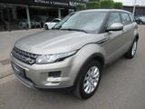 Land Rover Range Rover Evoque 2.2D 2WD-Leder-Pano-Meridian- - Land Rover: Beige