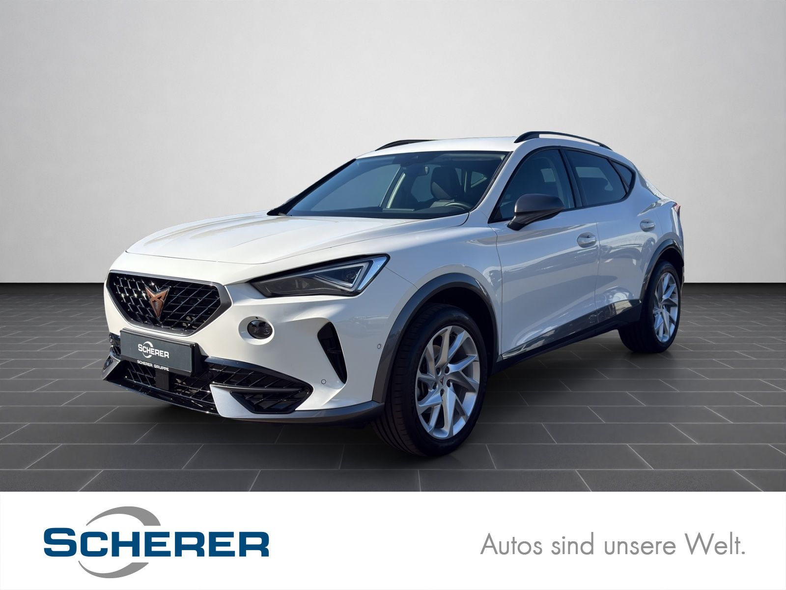Cupra Formentor 1.5 TSI DSG Navi Matrix SHZ ACC