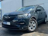 Opel GRANDLAND X TURBO EDITION KEMERA AHK 8 FACH - Opel Grandland (X) in Solingen