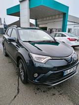 Toyota RAV4 Hybrid Executive AWD 360 Kame... - Toyota RAV 4 Gebrauchtwagen 3.3