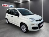 Fiat Panda 1.2 Pop Klimaanlage Bluetooth - Fiat Panda: Weiß