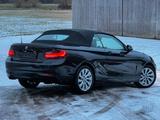 BMW 220d Cabrio*II.HAND*LEDER* - BMW 220: D