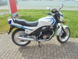 Honda VT500 E,DS/HU/AU neu! - HONDA VT 500
