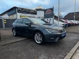 Seat Leon ST Xcellence Automatik Hundekäfig - Seat Leon mit CNG-Antrieb: Automatik