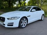 Jaguar XE Pure