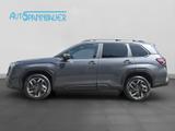 Subaru Forester Navi | Pano | AWD - Subaru Forester mit Hybrid-Antrieb