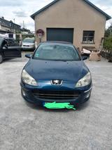 Peugeot 407 - gebrauchte Peugeot 407 aus dem Jahr 2004