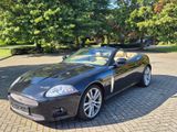 Jaguar XKR Cabrio unfallfrei de Auslief. Scheckh.Jaguar - Jaguar XKR aus 2008