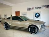 Andere Mustang GT Coupé - Andere: Leder