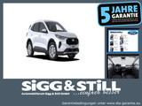 Ford Kuga Titanium 2.5I Hybrid *NEUES MODELL* IACC*BL - Ford Model b Gebrauchtwagen