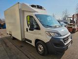 Fiat Ducato 2.3 150 PS TIEFKÜHLER THERMO CARRIER - Fiat Ducato: 15