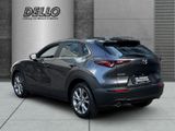 Mazda CX-30 Selection 2WD 2.0 PDC+Kamera Navi CarPlay  - Mazda CX-30 in Hamburg