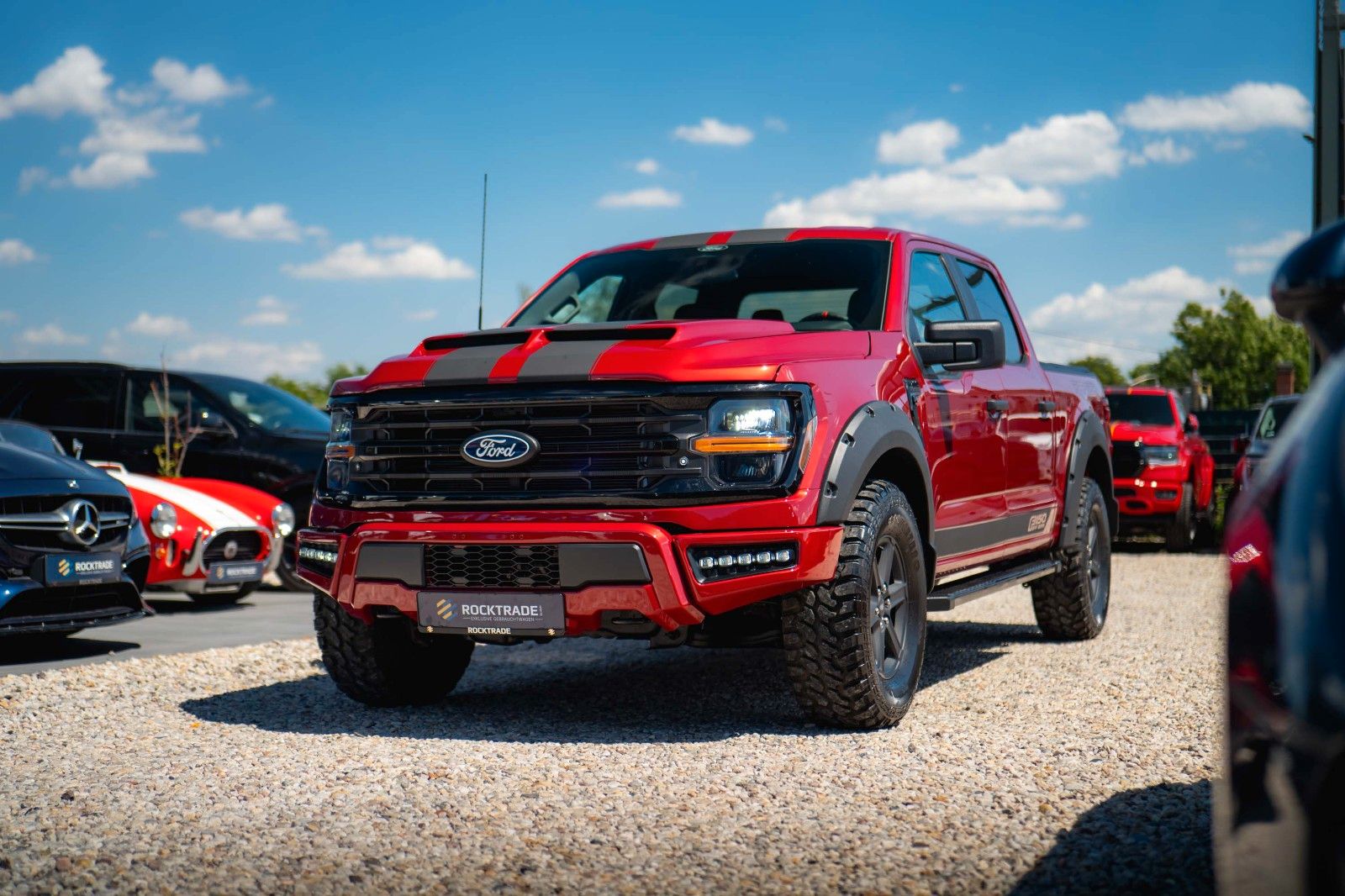 Fahrzeugabbildung Ford F150 5.0L V8 4x4 Offroad SuperCrew RAPTOR 19%