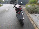 Aprilia RS 457 Aus 1 Hand !!! - APRILIA VON 251 BIS 500 CCM