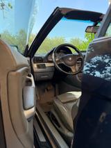 BMW 330Ci - TÜV/SERVICE NEU - BMW 330 aus 2001: Cabrio