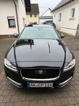 Jaguar XF 25d 240PS Portfolio Automatik Portfolio - Jaguar XF Portfolio mit Diesel-Antrieb