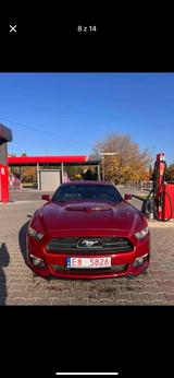 Ford Mustang 5.0 gt 50 years edition - Ford Mustang: Edition