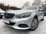 Mercedes-Benz E 250 T Pano*Leder*Navi*ACC - Mercedes-Benz E-Klasse: Kombi