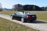 BMW 320i Cabrio~Xenon~Tempomat~PDC~Leder~Mem~TÜV NEU - BMW 320 aus 2007: Cabrio, 320i