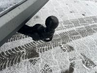 Seat Ateca - Vorschau Bild 16