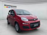 Fiat Panda Pop 1.0*KLIMA*PDC*RADIO*BLUETOOTH* - Fiat Panda: Rot
