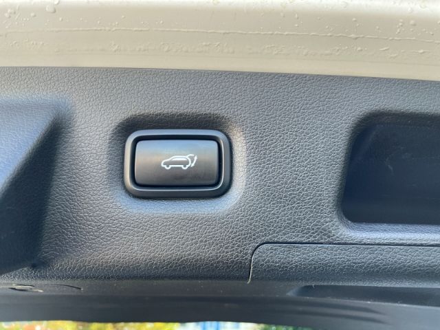 Fahrzeugabbildung Hyundai SANTA FE 2.2 CRDI Signature 4 WD Autom. Panorama